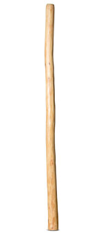 Natural Finish Didgeridoo (TW947)